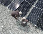 Eli10 accélère sa métamorphose pour offrir une palette élargie de solutions énergétiques